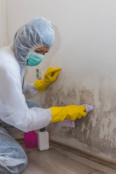 Mold Documentation for Insurance Claims in Ontario, OR